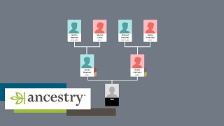 How Ancestry works  Howto  Ancestry UK [upl. by Rastus]