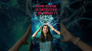 How sugar is detected by brain neet csirnet sugar diabetes science sciencefact gate biology [upl. by Akkimat]