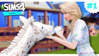 The Sims 4 RANCZO 🐎 Zaczynamy przygodę [upl. by Netsoj521]