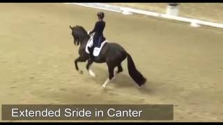 Charlotte Dujardin  types of Dressage movements [upl. by Cleopatre813]