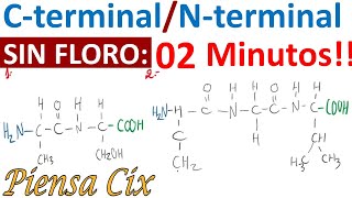 Cterminal y Nterminal Aminoácidos Enlace Peptídico  2 minutos  Ciensus [upl. by Jen]