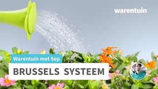 brussels watering system  Warentuin [upl. by Avirt342]