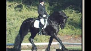 Friesians [upl. by Annia]