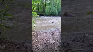 The River  Cuyahoga Falls gorgeous river spot calm flow trending viralvideo video shorts [upl. by Nnylsaj623]