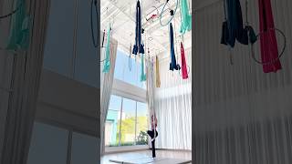 aerial hammocks aerialhammock aerialhoop aerial aerialhoop aeriallyra aerialflow [upl. by Nomyad171]