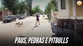 Repórter americana é atacada com Paus Pedras e Pitbulls [upl. by Anna-Diana]