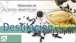 Destilación de Aceites esenciales [upl. by Teahan]