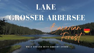 WALK AROUND Lake Großer Arbersee  Bavarian Forest in Germany [upl. by Boyden]