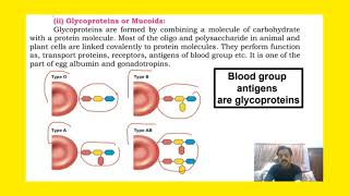 Chapter 1  Biological molecules  part 28  Conjugated molecules sindhtextboard [upl. by Ellett]