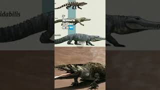 short DINOSSAUROS QUE VOCÊ MAT4RIA COM AS MÃOS [upl. by Mckeon840]