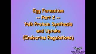 Vitellogenesis Endocrine Regulations [upl. by Yreneh]