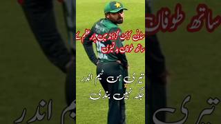 Sydney Crowd Abused Babar Azam on Dropping Simple Catch shorts pakvsaus babarazam sydneycrowd [upl. by Simsar446]