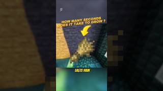 Total Seconds To Grow Wheat in Minecraft 🤯 shorts minecraft [upl. by Dickinson]