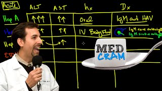 Liver Diseases Explained Clearly Acute vs Chronic Hepatic Diseases [upl. by Youlton913]