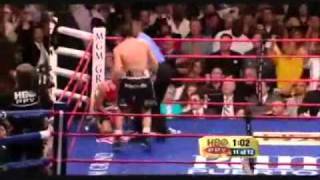 Pacquiao vs Margarito Fight Highlights [upl. by Analak]