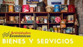 Qué son los bienes y servicios económicos y su clasificación EJEMPLOS [upl. by Towrey]