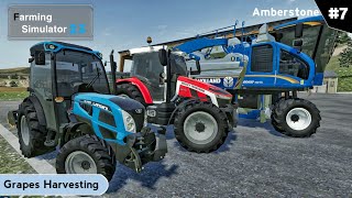 Grapes Harvesting New Holland Farming Simulator 23 [upl. by Breena]