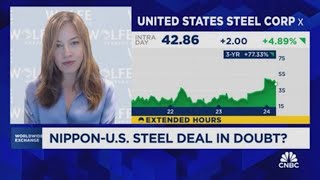 Nippon Steels takeover of US Steel is highly politicized says Timna Tanners [upl. by Aneled20]