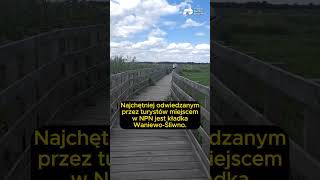 shortvideo short podlaskie narew miody wakacje polecam polska reels narew narwianskipark [upl. by Skip]