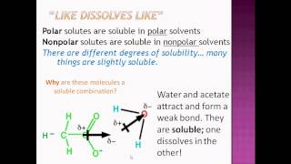 Solutions Lesson 3 Polarity [upl. by Vokaay]