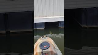 Spotted Bass Inhales Chatterbait on Lake Lanier [upl. by Anibur]