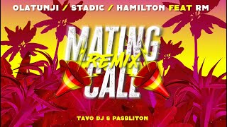 Olatunji Stadic Hamilton Tavo Dj  Pasbliton Ft RM  Mating Call Official Remix [upl. by Yuk]