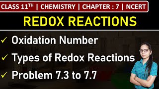 Class 11th Chemistry  Oxidation Number  Types of Redox Reactions  Problem 73 to 77  Chapter 7 [upl. by Amitaf]