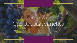 Learn wine Love wine Pinotage [upl. by Dinsmore]