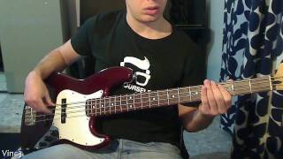 Foo Fighters  Times Like These Acoustic bass cover  HD 720p [upl. by Ogren]