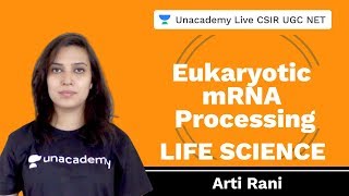 Eukaryotic mRNA processing  Life Science  Unacademy Live CSIR UGC NET  Arti Rani [upl. by Lubin]