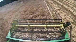 Combining Triticale Livestream [upl. by Ches711]