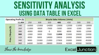 SENSITIVITY ANALYSIS with Data Table in Excel  ExcelJunctioncom [upl. by Anifares]