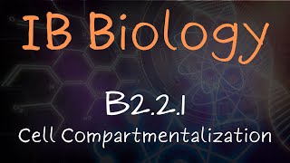 Cell Compartmentalization  B221 [upl. by Girardo]