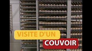 Visite dun couvoir [upl. by Lucretia]