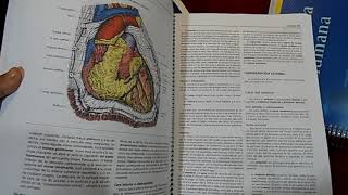 Latarjet  Anatomía Humana 4° Ed Completo Full Color [upl. by Tiphani823]