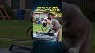 SASY LA CHIHUAHUA CORRE PELIGRO🥲 chihuahua perros mascotas animales perroabandonado [upl. by Neeli]