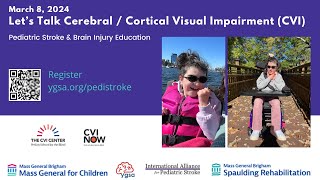 Lets Talk CerebralCortical Visual Impairment CVI [upl. by Lash559]