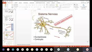 Anatomia do Sistema Nervoso Central  Encéfalo [upl. by Kobylak]