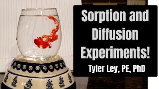 Sorption and Diffusion Experiments [upl. by Burnham141]