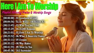 Goodness Of God  Hosanna ✝️ Special Hillsong Worship Songs Playlist 2024 🙏Worship Songs With Lyrics [upl. by Rebliw80]