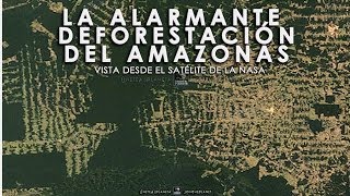 LA ALARMANTE DEFORESTACIÓN DEL AMAZONAS  Vista desde el Satélite de la Nasa TimeLapse [upl. by Pul]