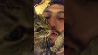 Çok kıskanç bir kedim var 😻 catvideos cat kedisesi kedi kediaski 🎥sipidikhanim [upl. by Cy]