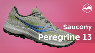 Кроссовки Saucony Peregrine 13 Обзор [upl. by Euphemiah92]