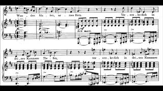 Franz Schubert  Der Unglückliche D713 [upl. by Goebel]