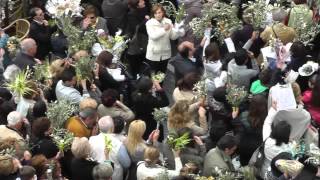 Domenica delle palme nella Piazzetta di Capri 4 [upl. by Valenba]