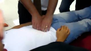 Osteopathy International course  Visceral Manipulation  Mesentry Technique [upl. by Inhoj]