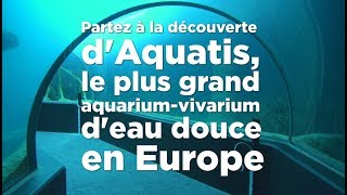 Visite dAquatis à Lausanne [upl. by Deyas]