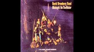 David Bromberg  Wonderful World [upl. by Woo]