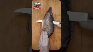 How to remove fish skin  fish skin youtube facts 5minutescience microscope food asmr [upl. by Daniela]