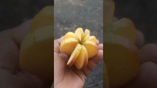 razzak vlogs apple apple song [upl. by Flor]